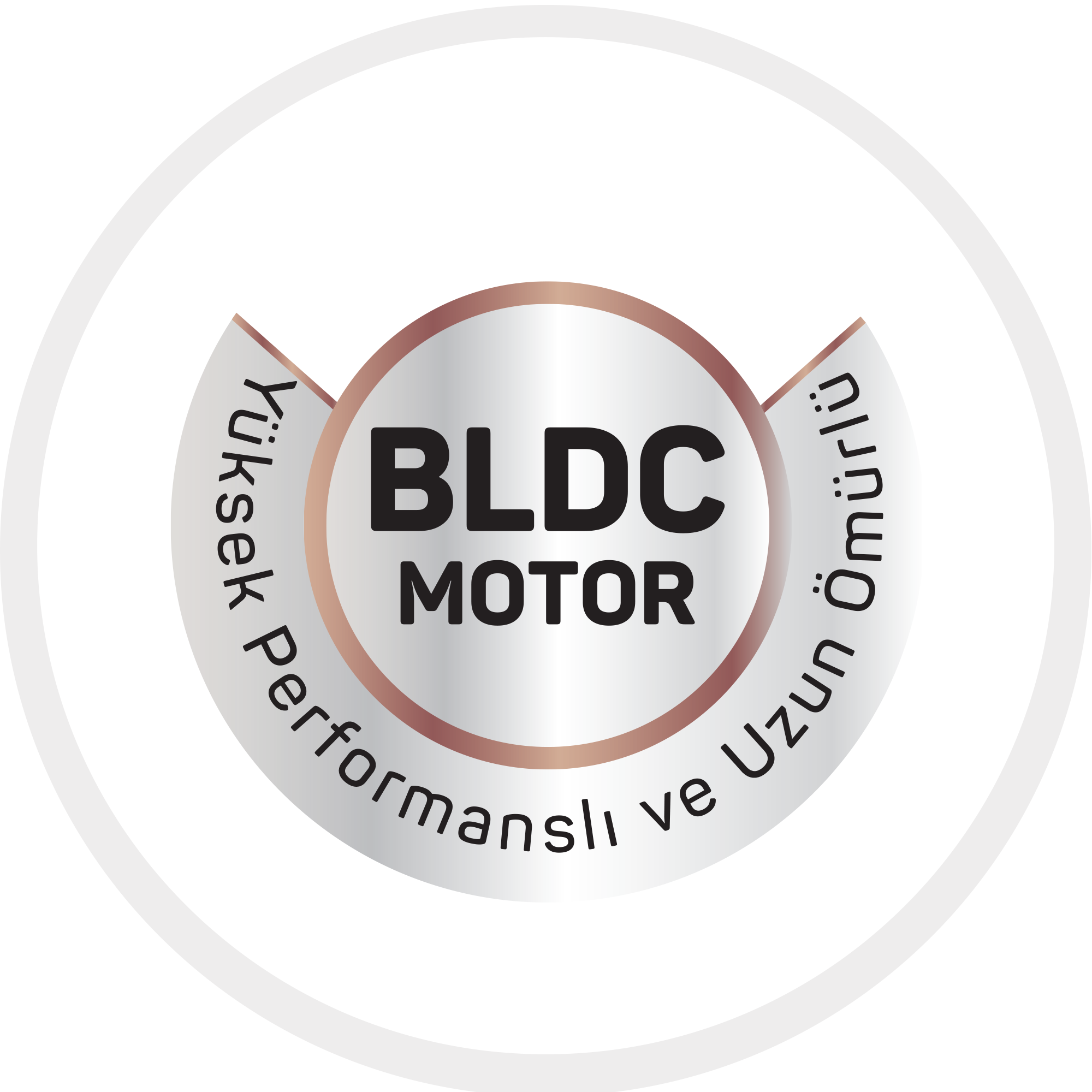 1500 W BLDC Motor