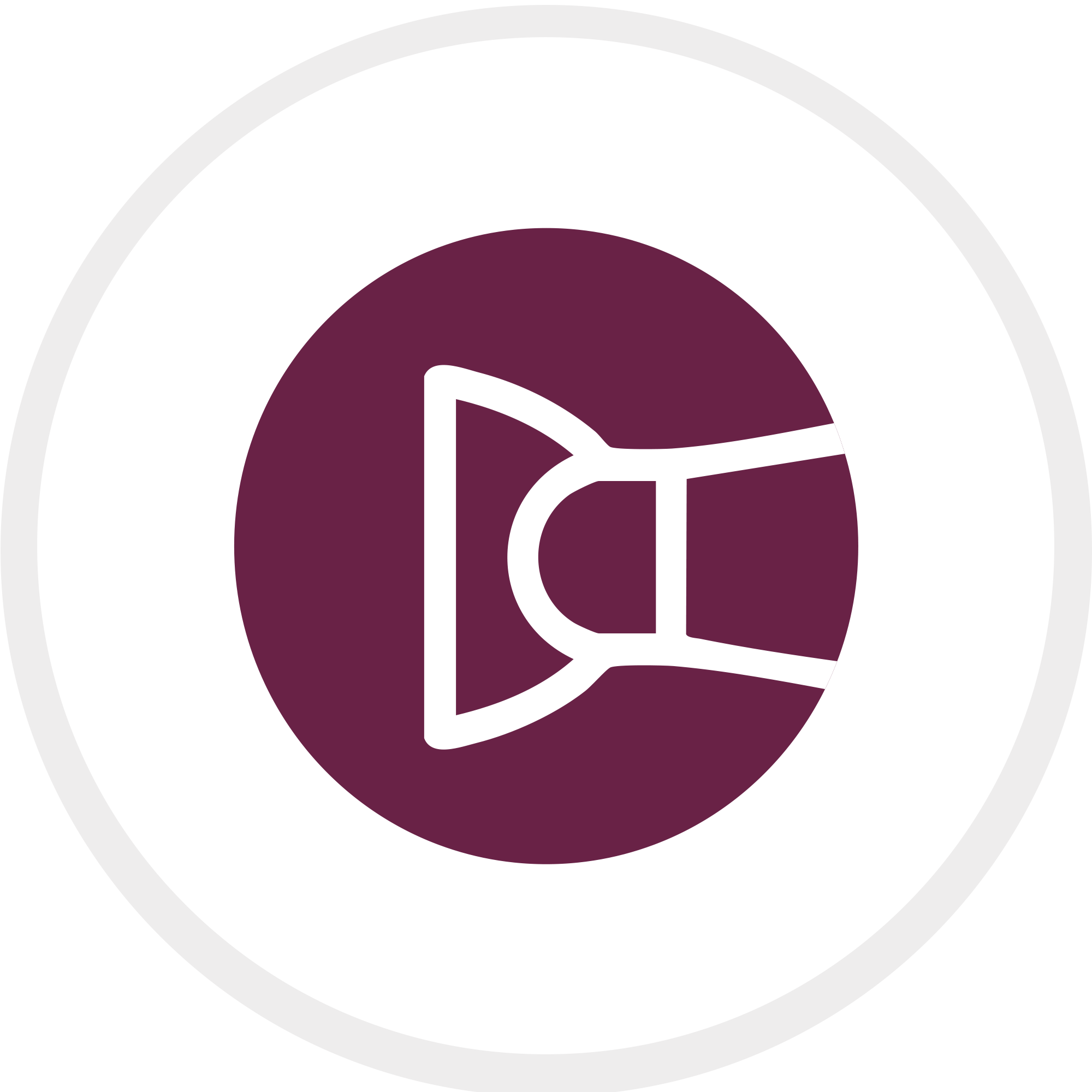 PROFESYONEL FORM BAŞLIĞI