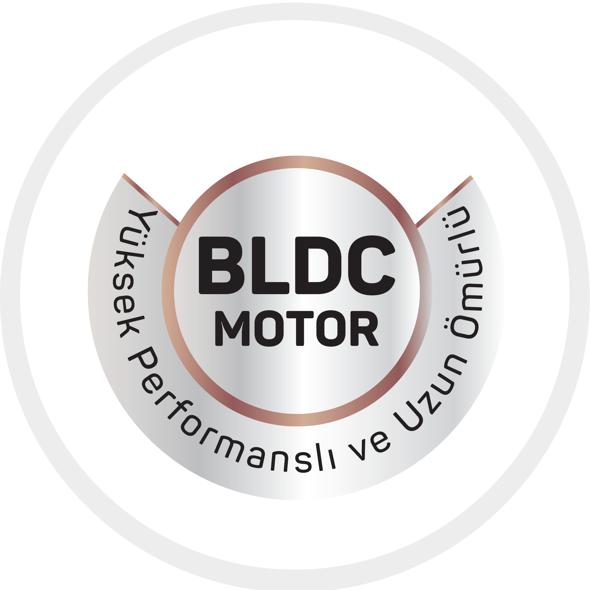 1500 W BLDC motor